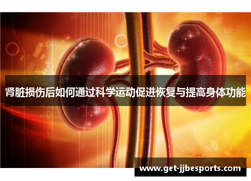 肾脏损伤后如何通过科学运动促进恢复与提高身体功能