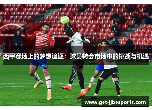 西甲赛场上的梦想追逐：球员转会市场中的挑战与机遇
