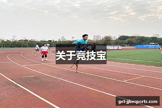 关于竞技宝